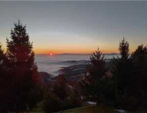 Apartma Pohorc - Kostanj