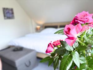 Frederik Brückenblick