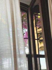 Agriturismo Casa Cometa