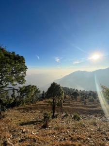 Onces Upon A Forest, Pangot,Nainital 4BR Homeyhuts