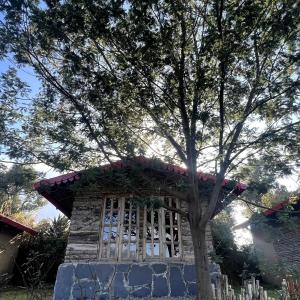 Onces Upon A Forest, Pangot,Nainital 4BR Homeyhuts