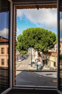 Appartements Appartement Gambetta - Hypercentre - Gaillac : photos des chambres