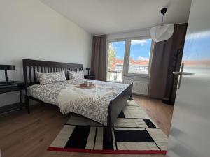 SuperHosts PARKPLATZ - Zentrum - TERRASSE - King-Bett - NETFLIX