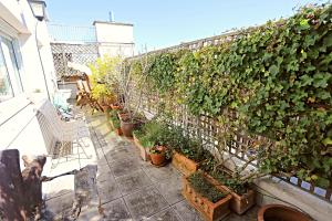 Appartements Ma maison avec jardin sur les toits de Paris : photos des chambres