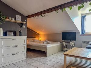 Appartements Le Petit Perriere - HyperCentre - Quai de Grenoble : Appartement 1 Chambre