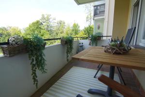 Komfort-Ferienwohnung Bruneärmel 1