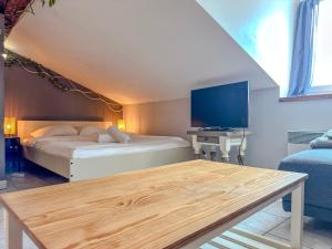 Appartements Le Petit Perriere - HyperCentre - Quai de Grenoble : photos des chambres