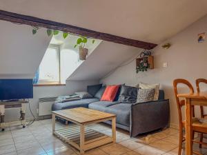 Appartements Le Petit Perriere - HyperCentre - Quai de Grenoble : photos des chambres