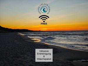 Ostsee-Urlaub-Zempin direkt am Küstenwald, nur wenige Minuten zum Strand, optimal für Paare mit 1 Hund bis 45 cm Schulterhöhe