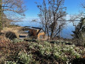 The Boathouse at Croft Downie
