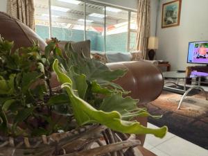 Private Bryanston Cottage, Garden, Uncapped Wi-Fi