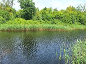 Gospodarstwo Gościnne Pod Lipą