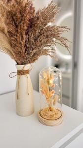 Appartements Sublime Joannes AC : Appartement