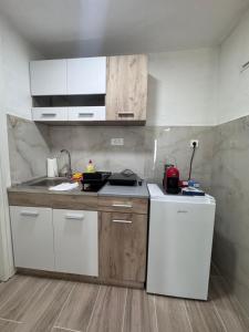 Rajkovic Stay Bukovik