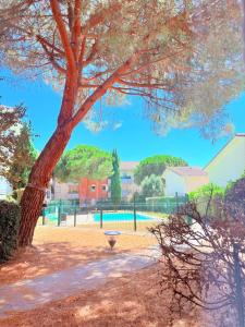 Appartements Essentiel T1 Piscine , Parking , proche Airbus : photos des chambres