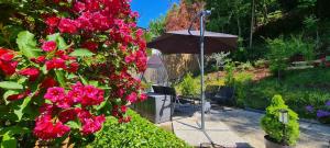 aNNa s Cozy Home with Private Forest, Canopy Terrace & Parking, near Präbichl