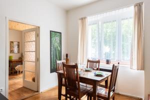 Cozy Jungle Apartment