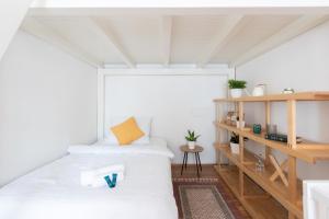 Cozy Jungle Apartment