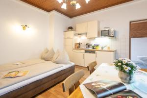 One-Bedroom Apartment room in Pesentheinerhof