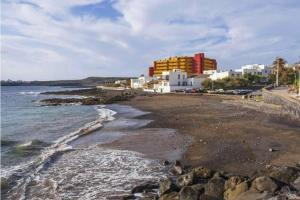 Live El Poris Begonia