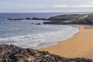 Live El Poris Begonia