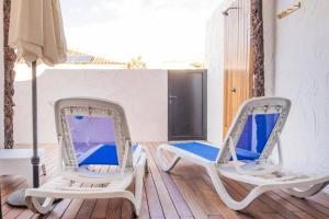 Live El Poris Begonia