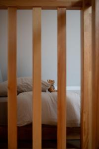 Appartements App Marguerite - Villa Bon Accueil proche mer : photos des chambres