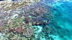 Seaweed Village 2