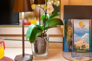 Hotel Fertilia img39