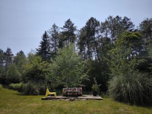 Maisons de vacances Maison forestiere : photos des chambres