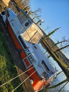 Bateaux bateau tinkerbell : Cabine Familiale dans un Bateau