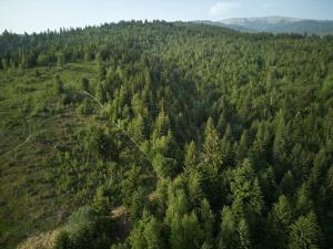 Fomich Residence Guesthouses