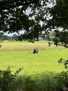 Landgoed Eik & Linde