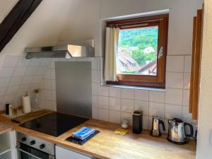 Appartements La Maison Bleue - Historic House in the Heart of Riquewihr : photos des chambres