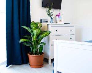 Agnes by Baltic Home