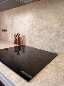 Dune sublime appartement 2 chambres