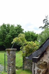 Maisons de vacances O Retrouvail - : photos des chambres