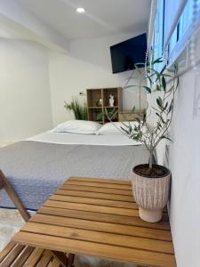 Olive tree studio ,Corfu Town