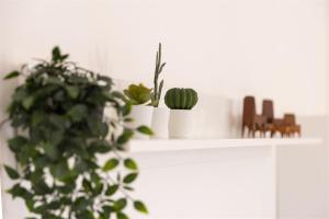 IseoLakeRental - Casa Pluto