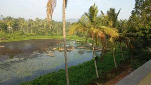 Souparnika Lakeview Homestay LLP