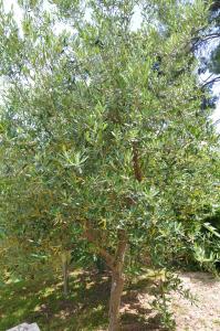 Charming Villa with Seaview in a Gated Complex