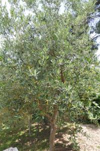 Charming Villa with Seaview in a Gated Complex