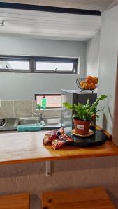 Sunbird Studio Apartment