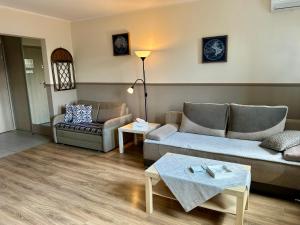 Apartament Żak no 9