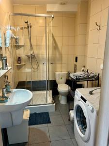 Apartament Żak no 9