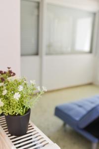 Acropolis Athens Penthouse