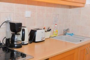 Acropolis Athens Penthouse