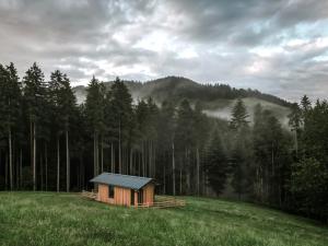 Ferienhaus "Moosgrün" - Tiny House Urlaub