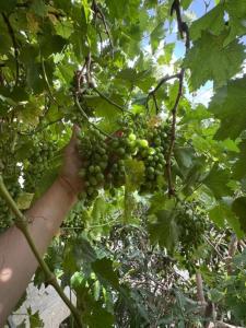 وسام شقة كبيرة 4 غرف نوم وصالة وشرفة-بلكونة- Large apartment with 4 bedrooms, a living room and a balcony