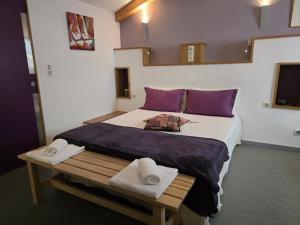 Maisons de vacances Le Puits de Sophie - Maison spacieuse en Ardeche : photos des chambres